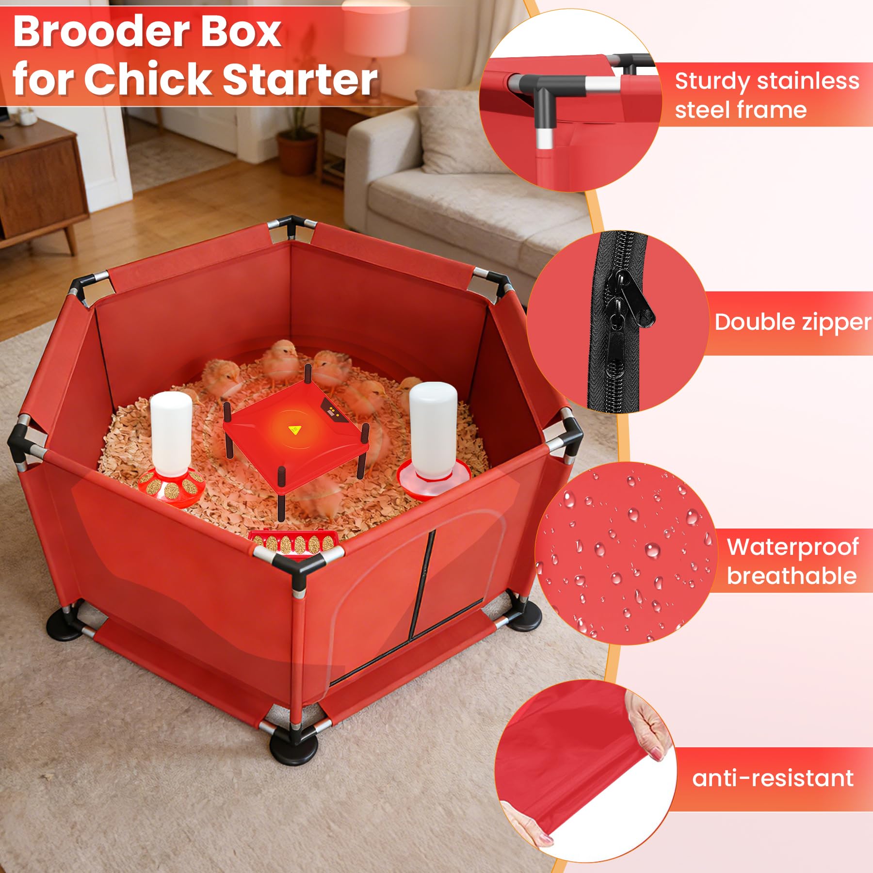 Kweetle automatic feeder detail that reduces refilling and food waste