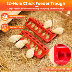 Kweetle twin feeder troughs with feed visible reducing waste and enabling multiple chicks