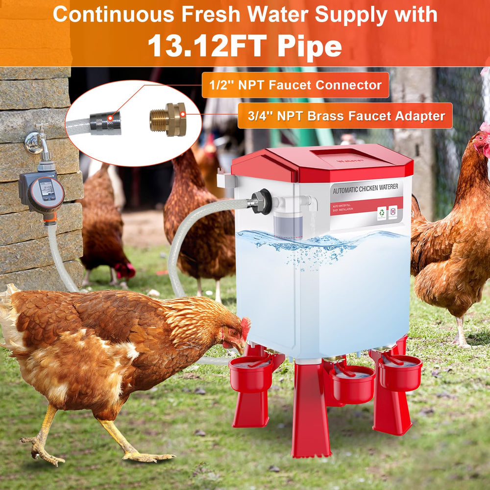 Kweetle top view of four drinking cups allowing multiple birds to drink