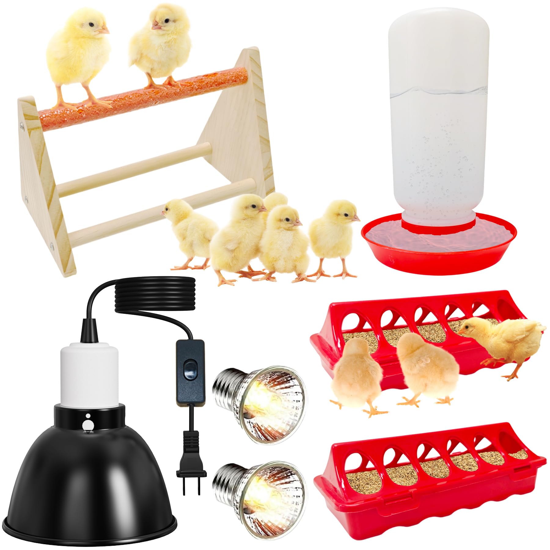Kweetle kit front view showing included feeders waterer heat lamp and perch for easy setup