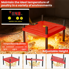 Kweetle adjustable heat plate closeup providing safe, consistent warmth