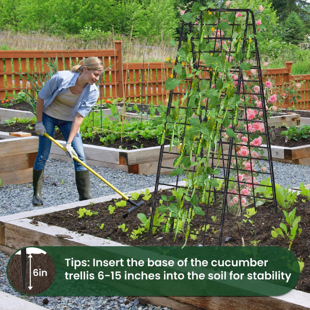 Kweetle beside a ruler showing adjustable height range for planting scale