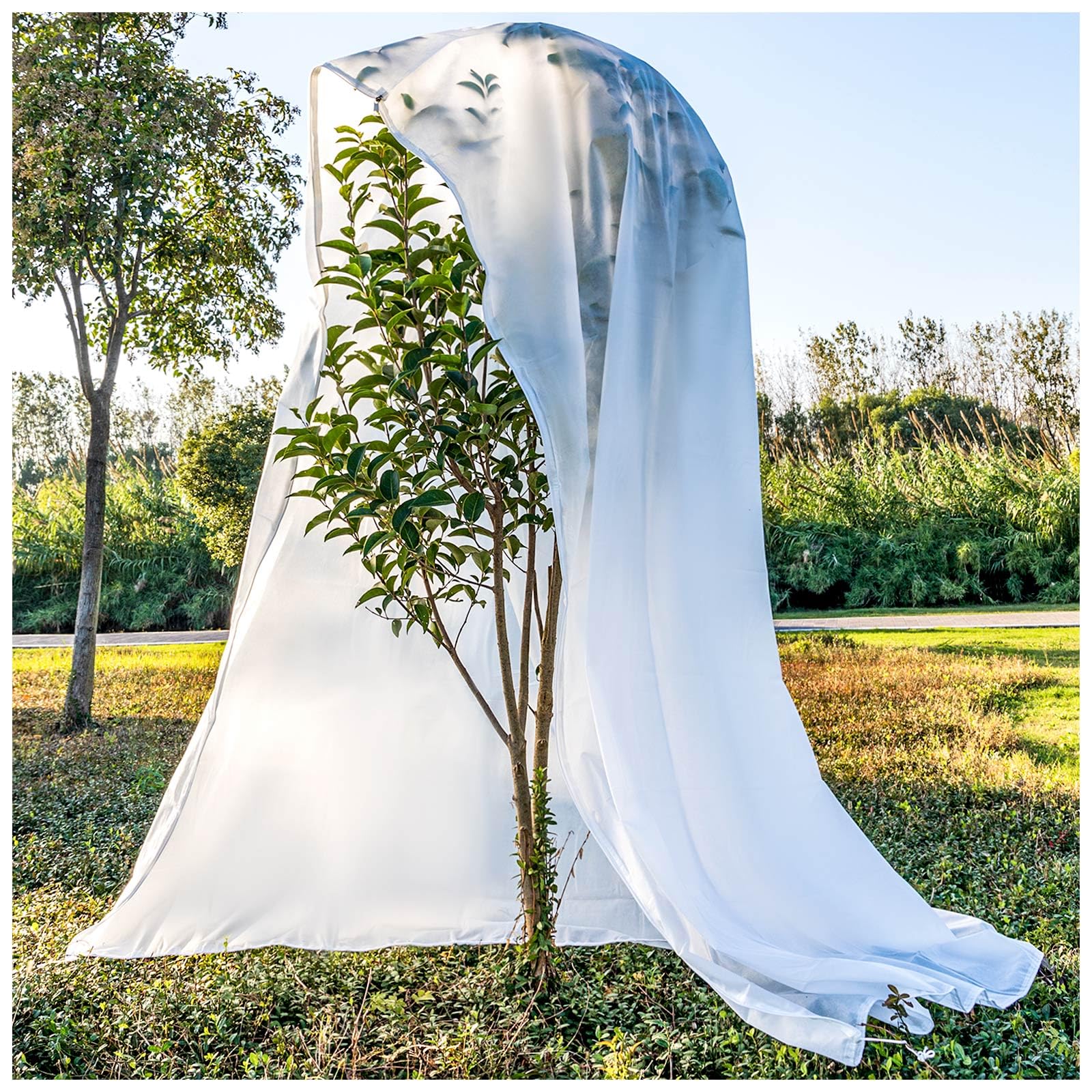 KXCOFTXI front view of oversized plant cover showing full protection