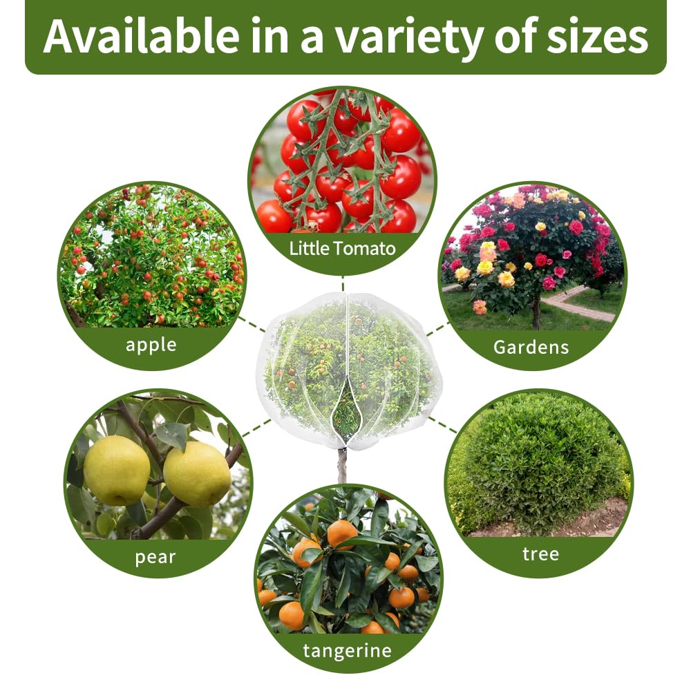 KYRGEU lifestyle backyard orchard setup illustrating practical use