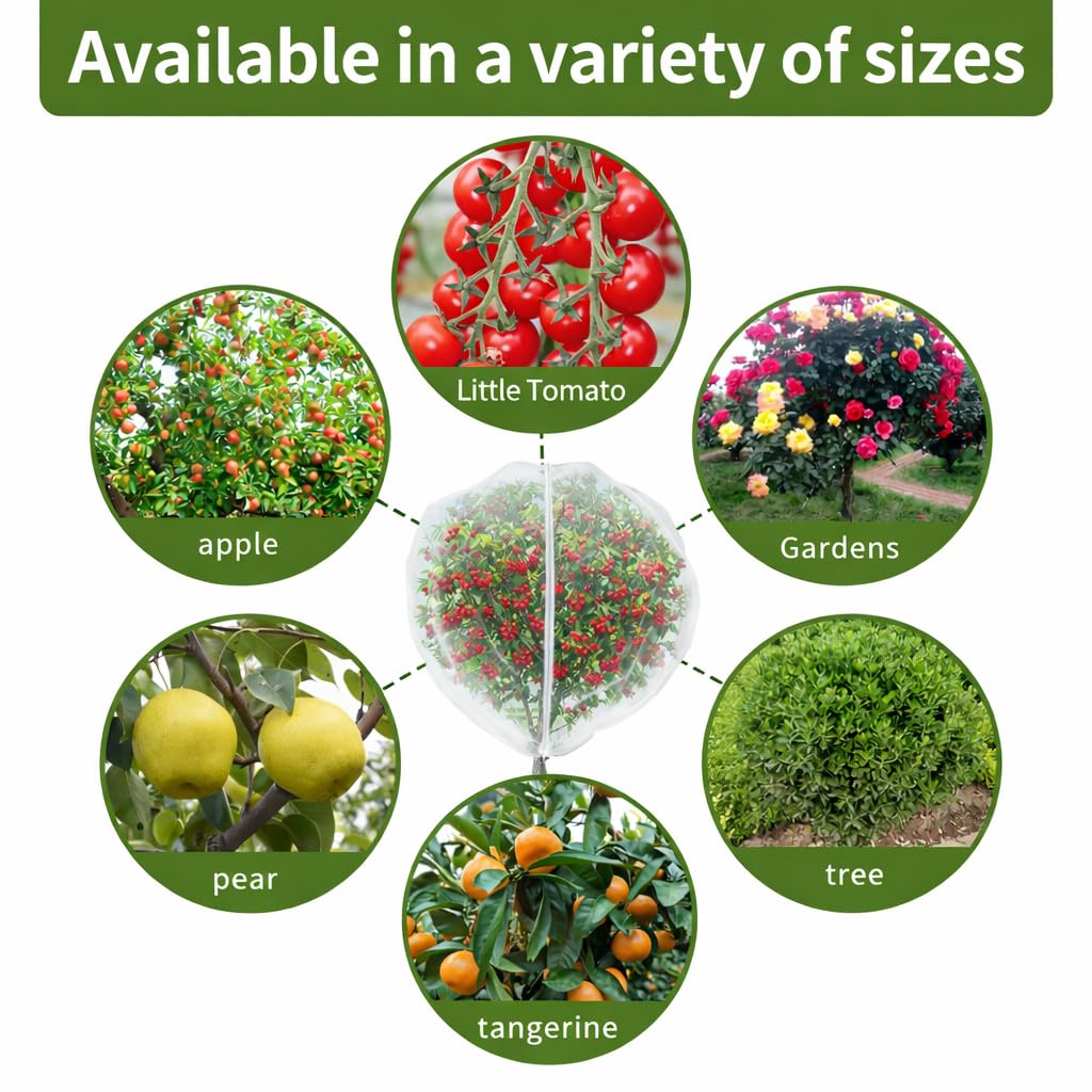 KYRGEU lifestyle garden setting, keeps produce safe in home orchard