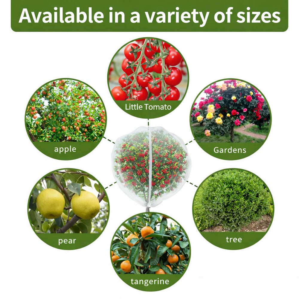 KYRGEU lifestyle garden setting, keeps produce safe in home orchard