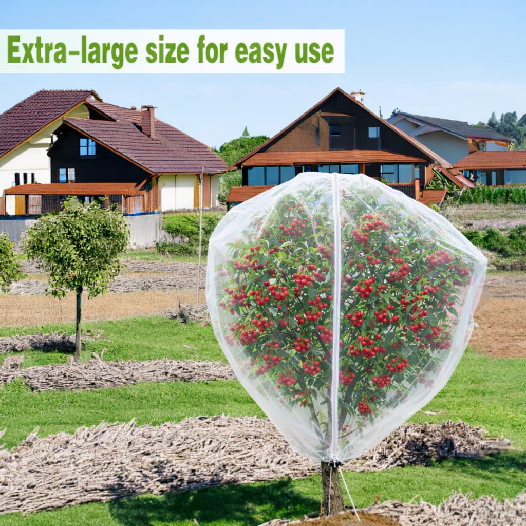 KYRGEU net scale comparison with person, shows full 13x13ft coverage