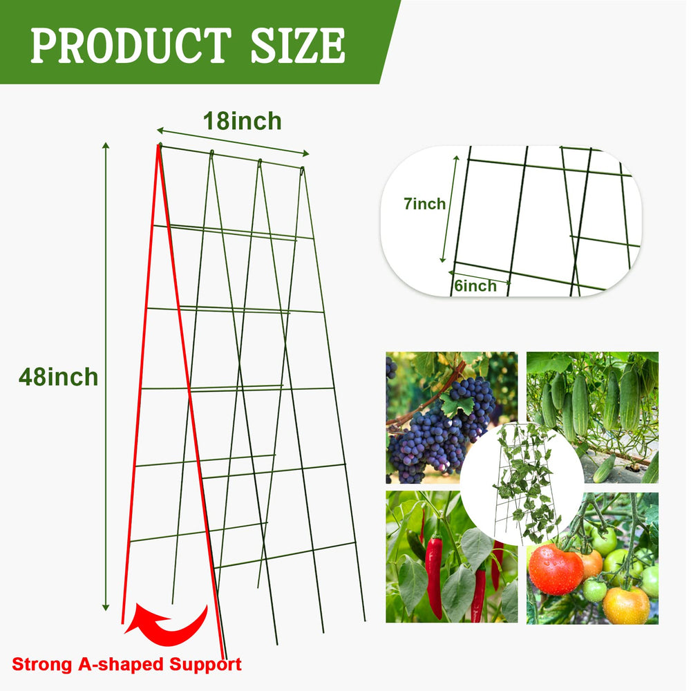Kyrieval close-up of 4-inch grid displaying plant training support benefit