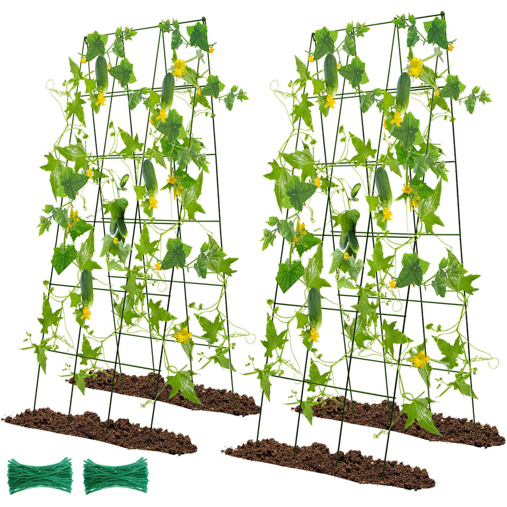 Kyrieval trellis front view showing full A-frame and finish, durable support