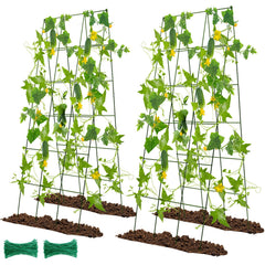 Kyrieval trellis front view showing full A-frame and finish, durable support