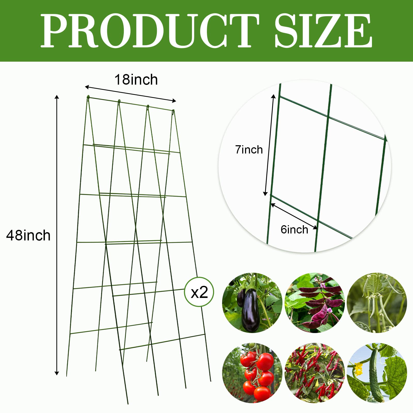 Kyrieval trellis with hanging cucumbers demonstrating organized, healthier harvests