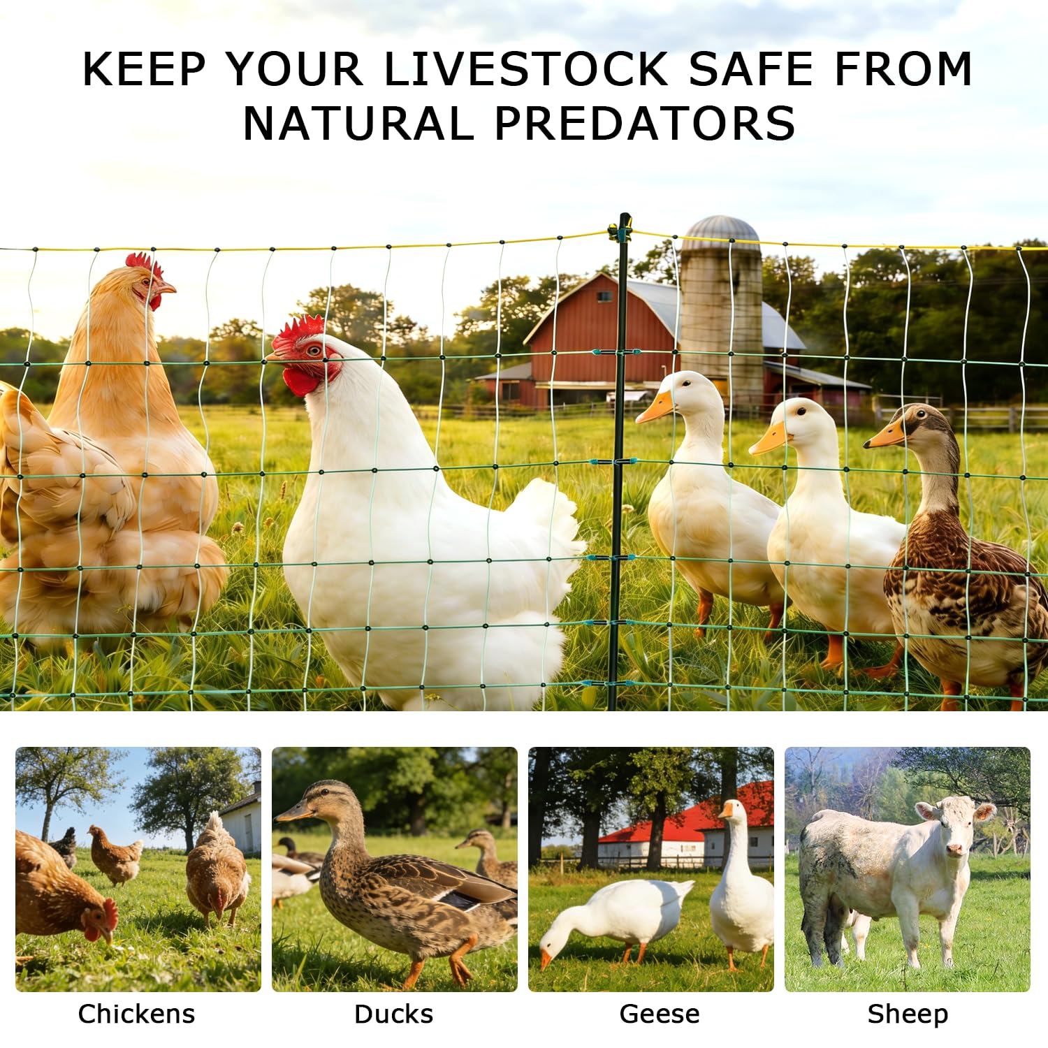 L-FENCE LYDITE FENCE protecting backyard chickens with visible energized wires