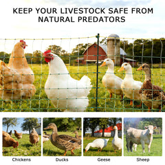 L-FENCE LYDITE FENCE protecting backyard chickens with visible energized wires