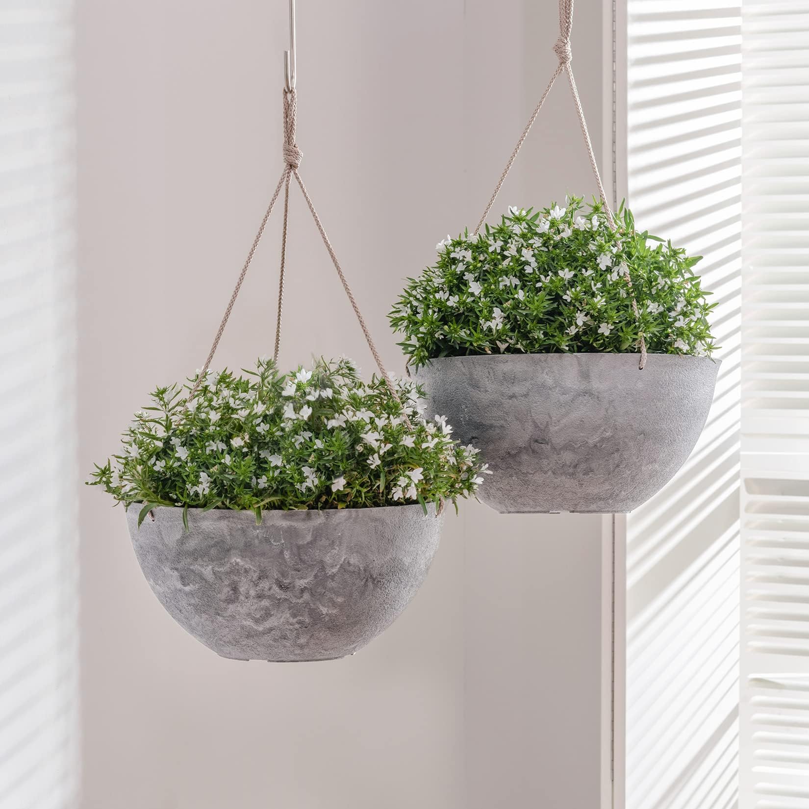 LA JOLIE MUSE hanging planter planted with trailing ivy demonstrating lush display and space saving