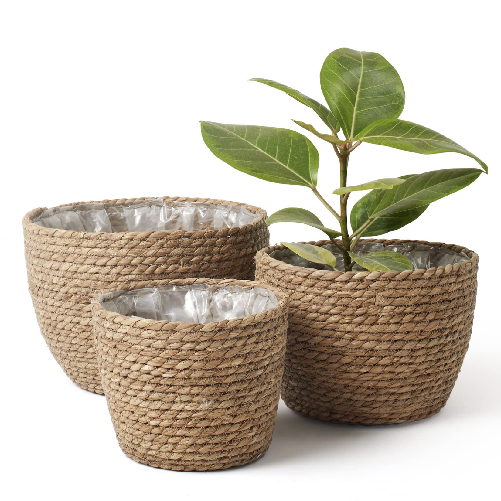 LA JOLIE MUSE front view of three seagrass baskets showing sizes and shape, decorative benefit