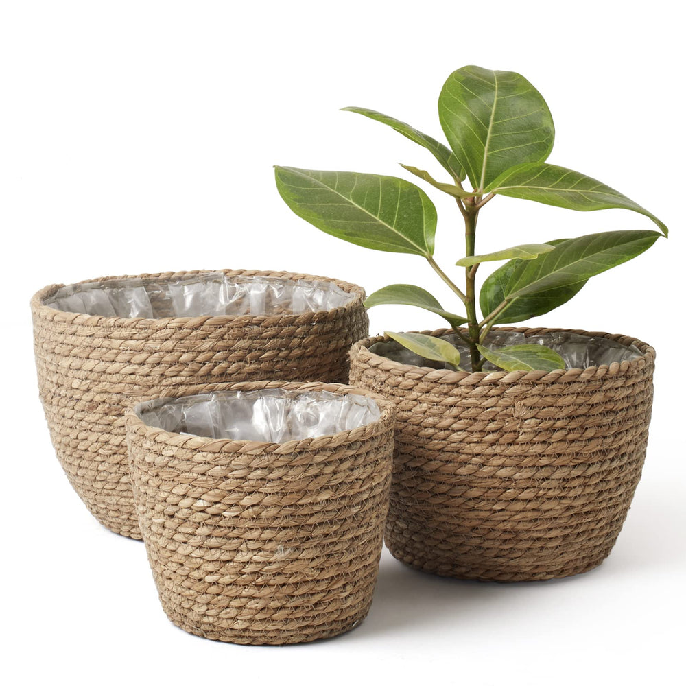 LA JOLIE MUSE front view of three seagrass baskets showing sizes and shape, decorative benefit