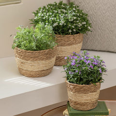 LA JOLIE MUSE interior view showing leak-proof plastic lining for safe plant use