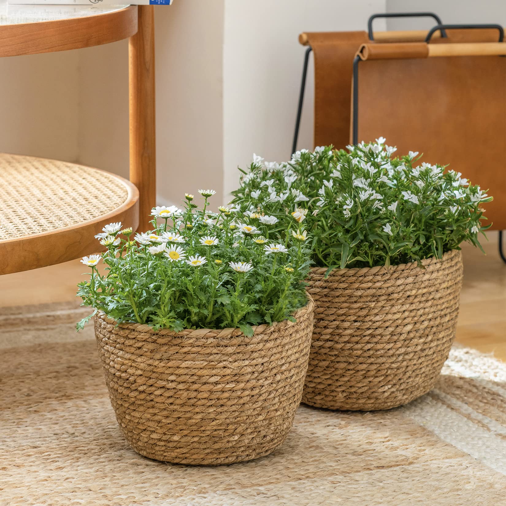 LA JOLIE MUSE basket holding a potted plant on a tabletop for natural decor and easy watering