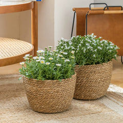 LA JOLIE MUSE basket holding a potted plant on a tabletop for natural decor and easy watering