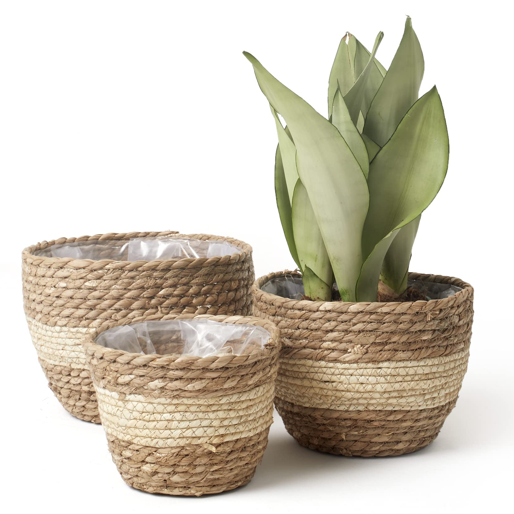 LA JOLIE MUSE front view of three seagrass baskets showing natural finish and sizes