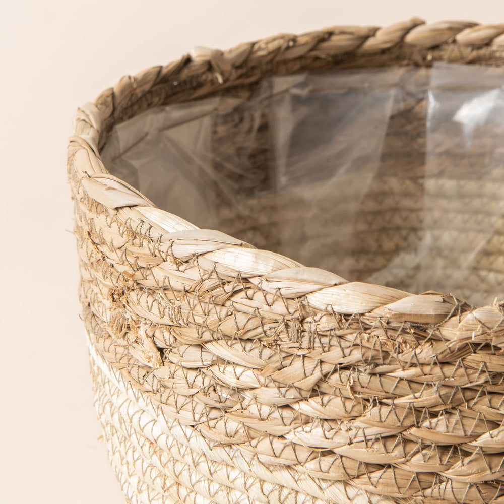 LA JOLIE MUSE baskets holding potted plants demonstrating neat indoor display