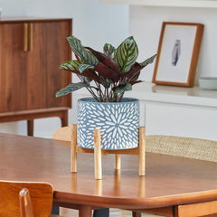 LA JOLIE MUSE side profile on wooden stand illustrating stability and elevation
