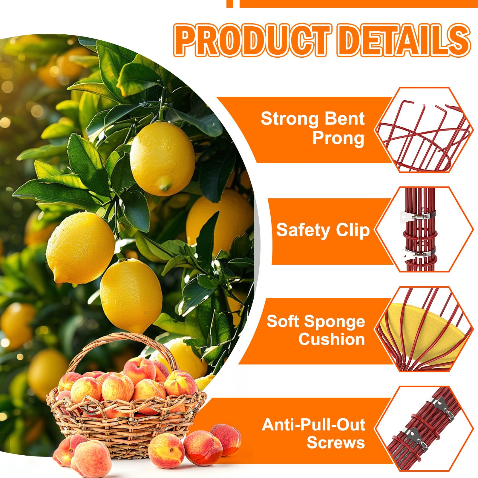 LAANPOLE foam-cushioned basket close-up protecting fruit from bruising