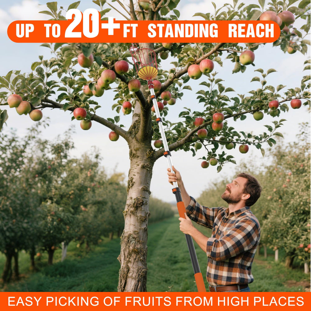 LAANPOLE in backyard harvest scene for ladder-free fruit picking