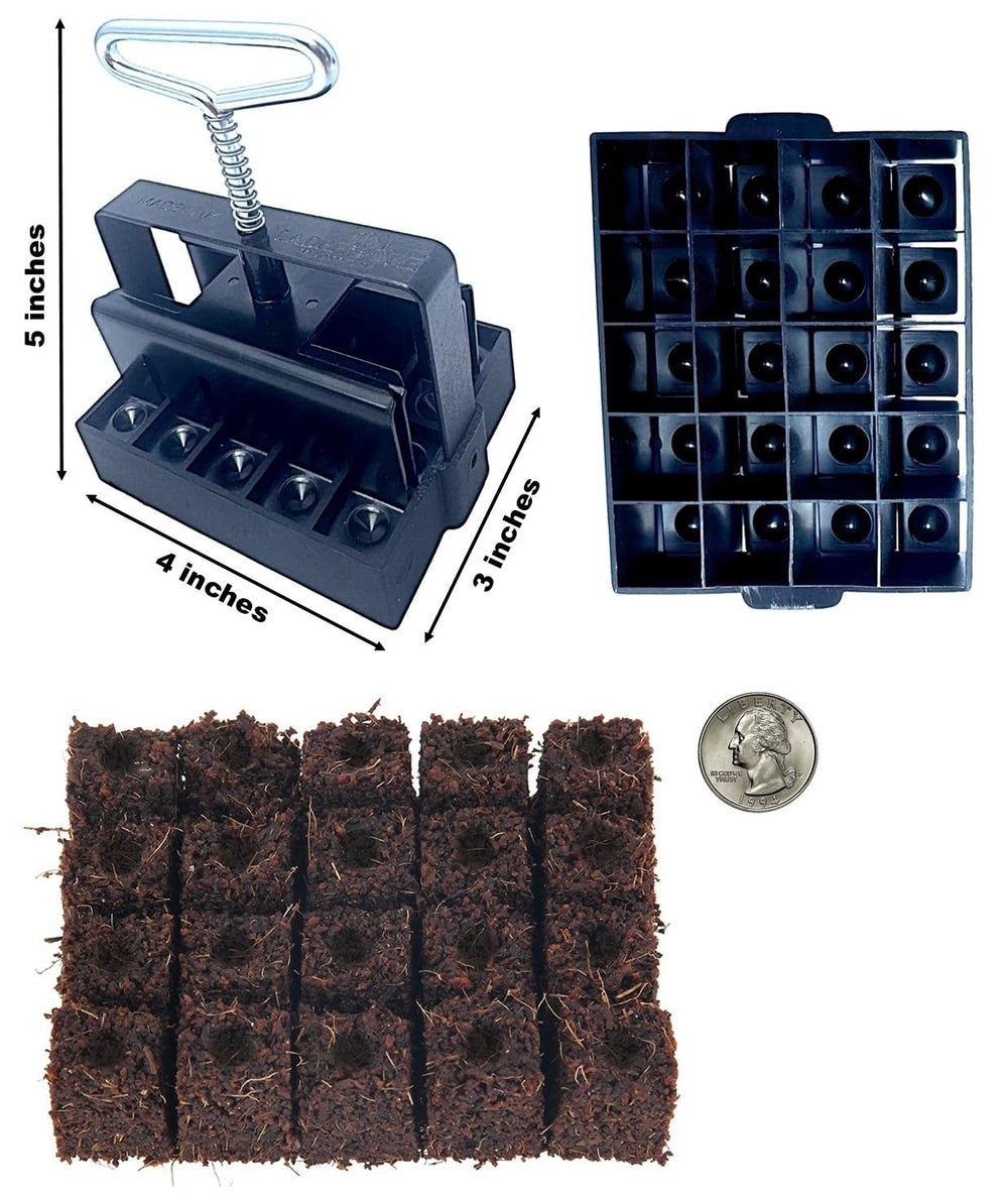 Twenty 3/4" soil blocks in a seed tray showing space-saving layout and tidy seedlings