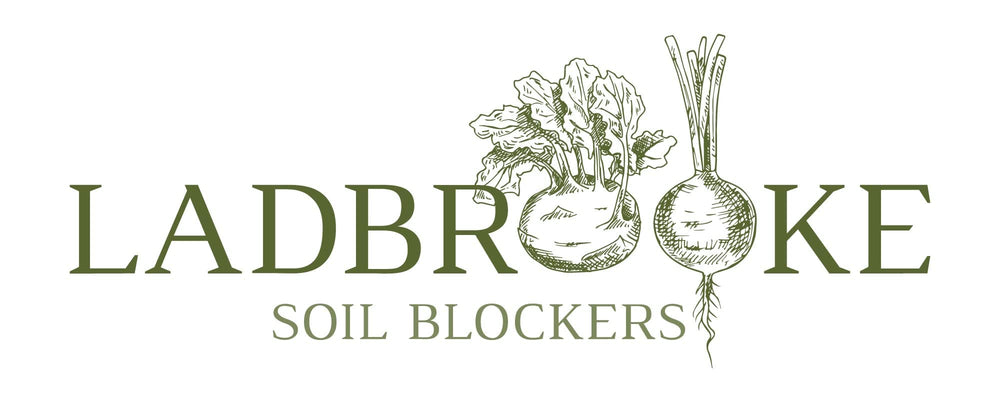 Five finished 1.5-inch soil blocks from Ladbrooke demonstrating tidy, transplant-ready starts