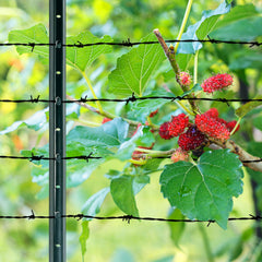 LADECH post tab with clip engaged for neat stable fence attachment