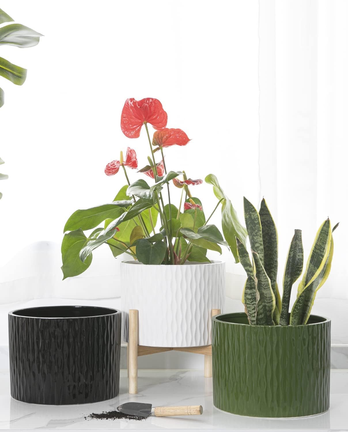 LaDoVita on covered patio illustrating outdoor-ready weather resistance