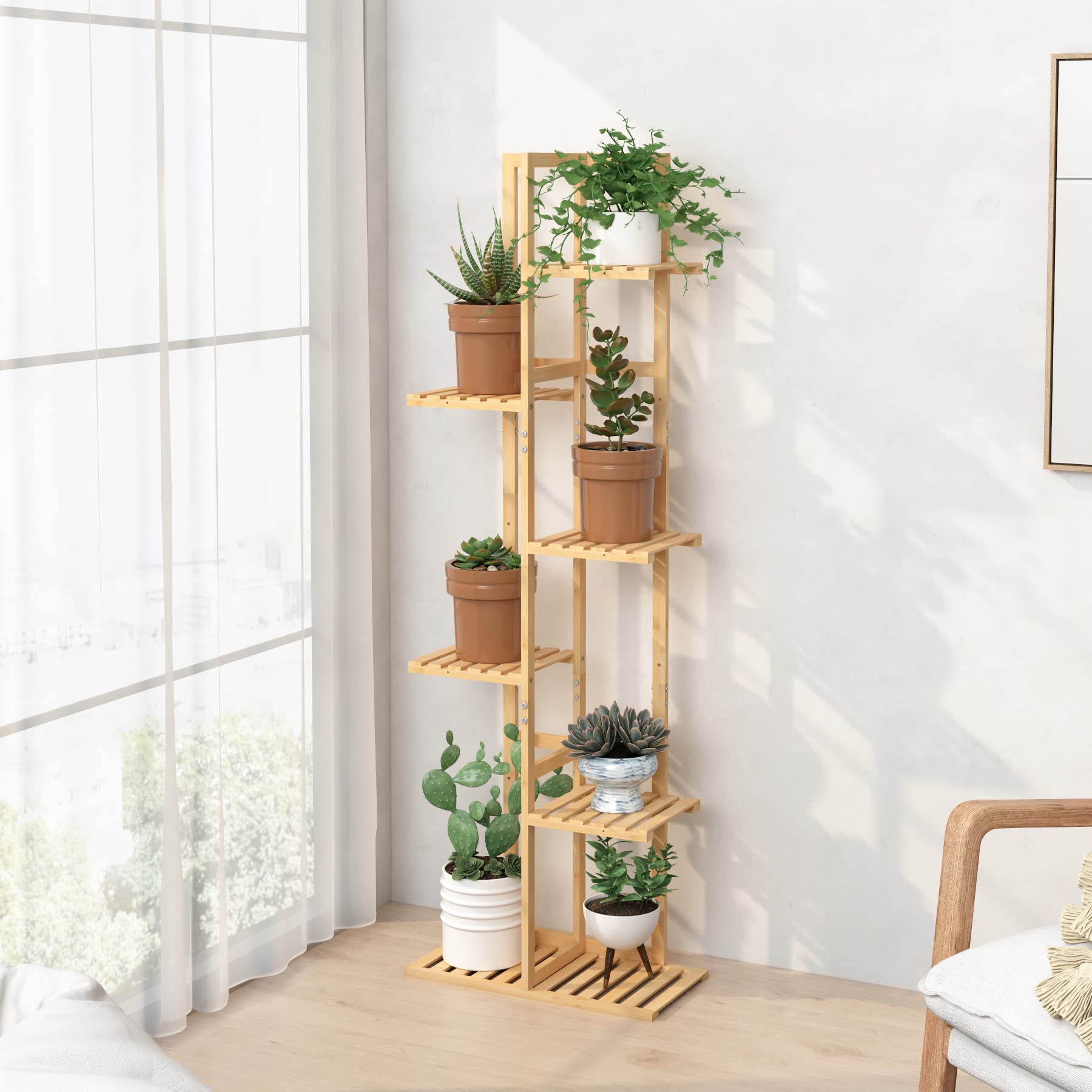 Laiensia plant rack next to tape measure showing height and compact footprint benefit