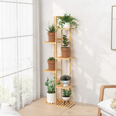 Laiensia plant rack next to tape measure showing height and compact footprint benefit