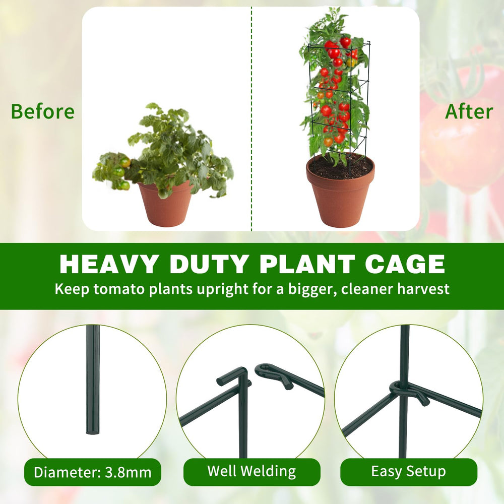 LAKNUAL cage supporting a tomato plant showing upright growth and easier harvesting