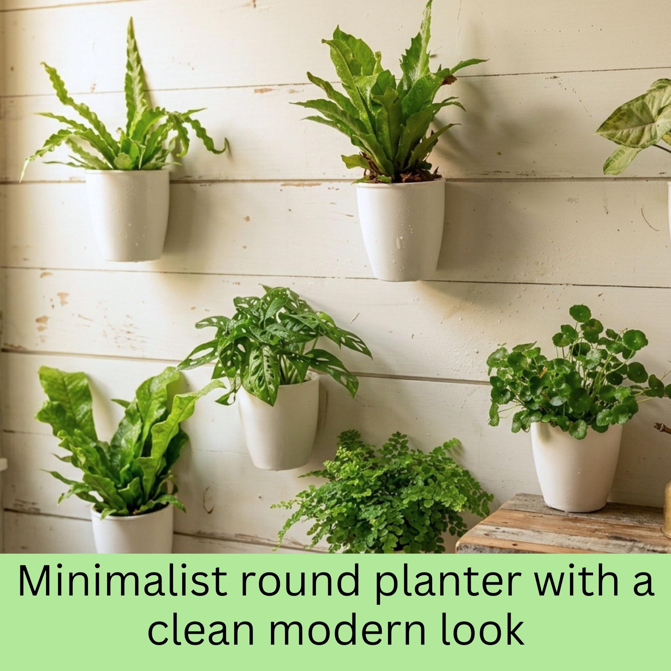 LáLáGreen bathroom placement with shower plants highlighting humidity-safe design
