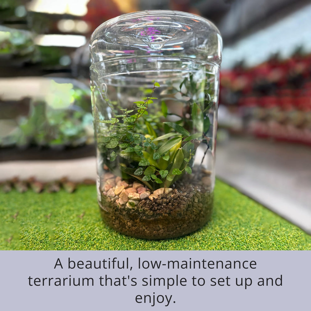LáLáGreen fairy garden example with miniature decor showing creative styling