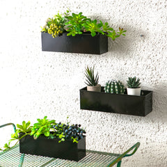 LáLáGreen front view of three black metal planters showing modern look and space saving benefit