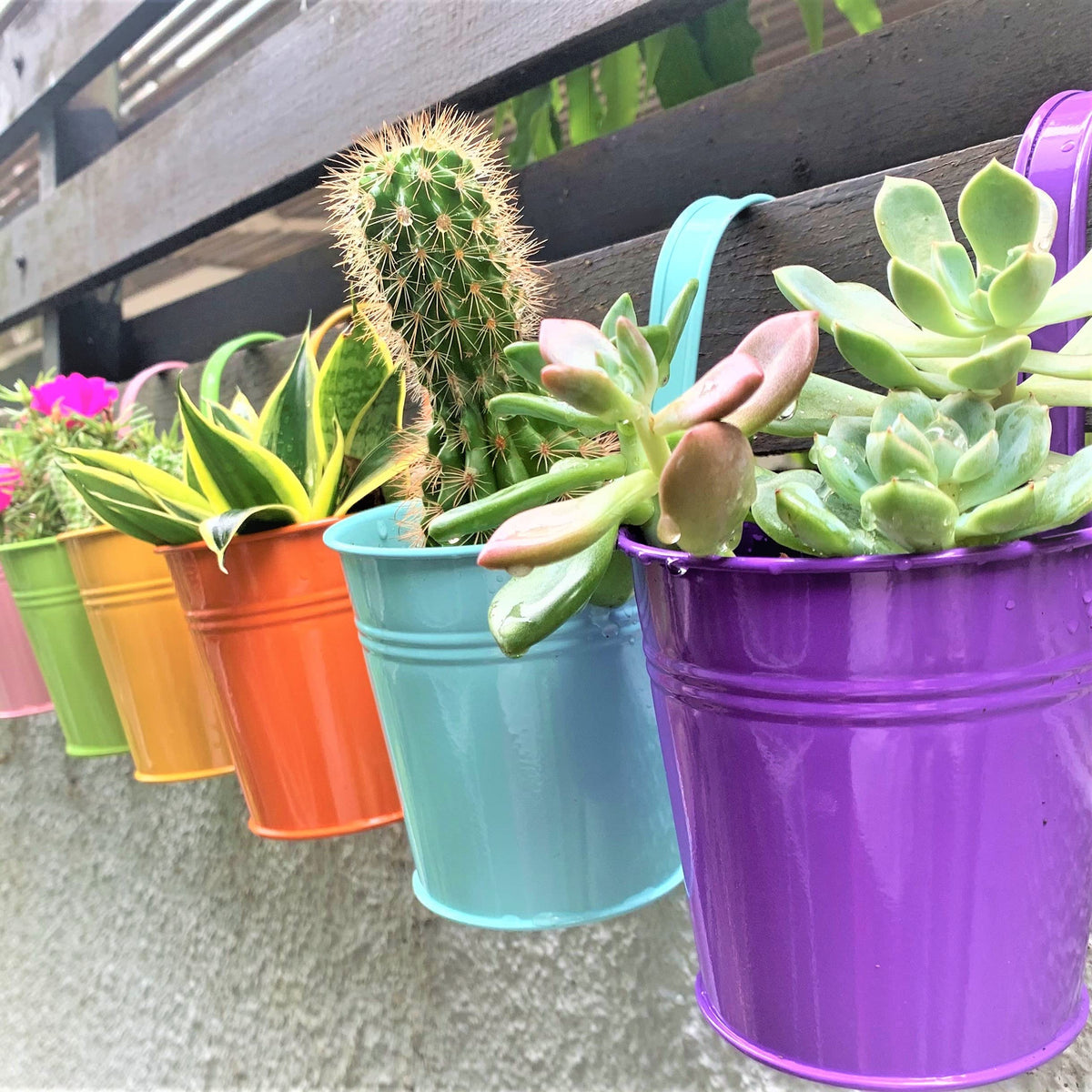 LáLáGreen front view of 10-pack colorful hanging planters, vibrant curb appeal