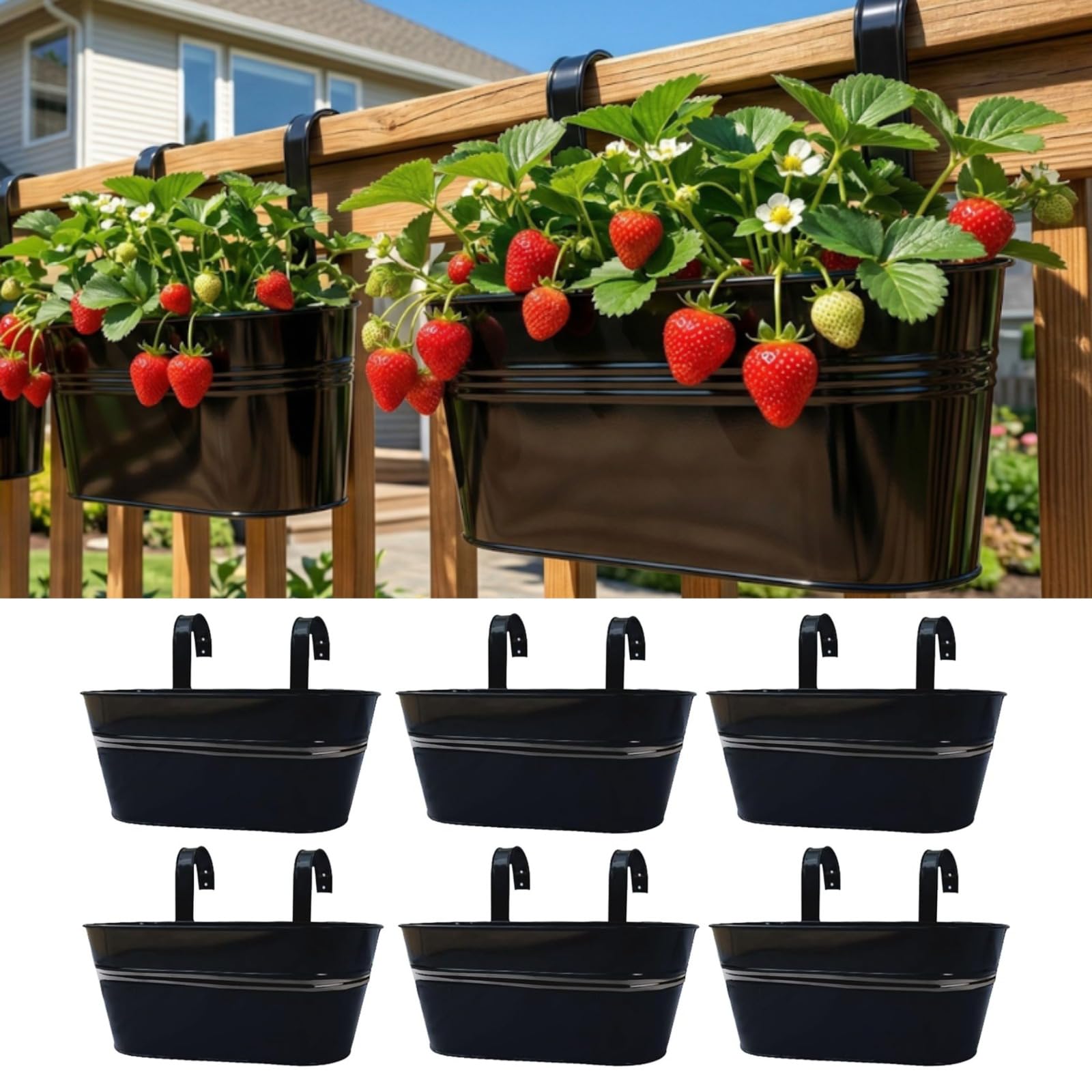 LáLáGreen front view of six black metal rail planters showing neat set