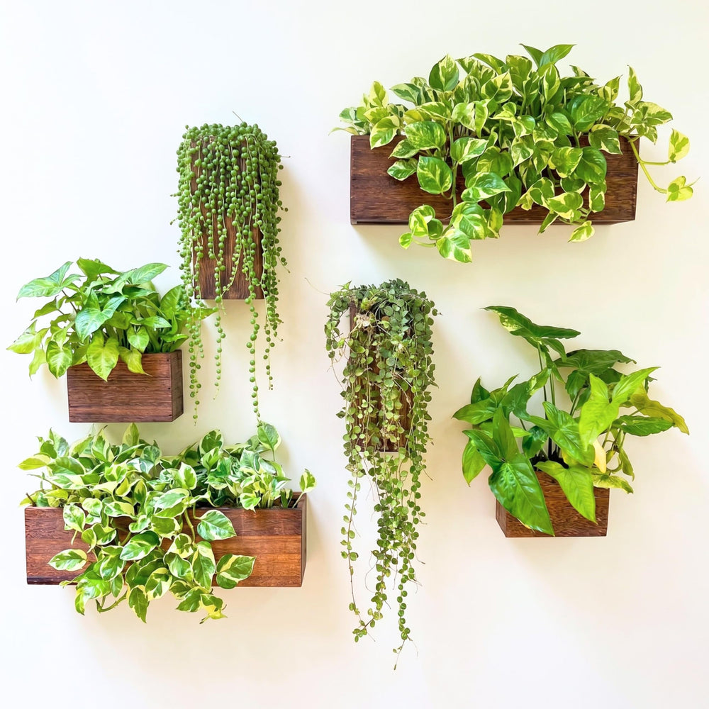LáLáGreen front view showing six wood planters and ready-to-hang convenience