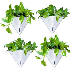 LáLáGreen front view of four hanging planters showing stylish organization benefit