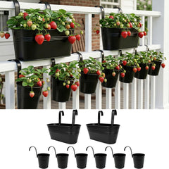 LáLáGreen front view of black oval railing planters showing stylish curb appeal