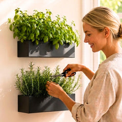 LaLaGreen front view of black rectangular planter showing sleek profile and versatility