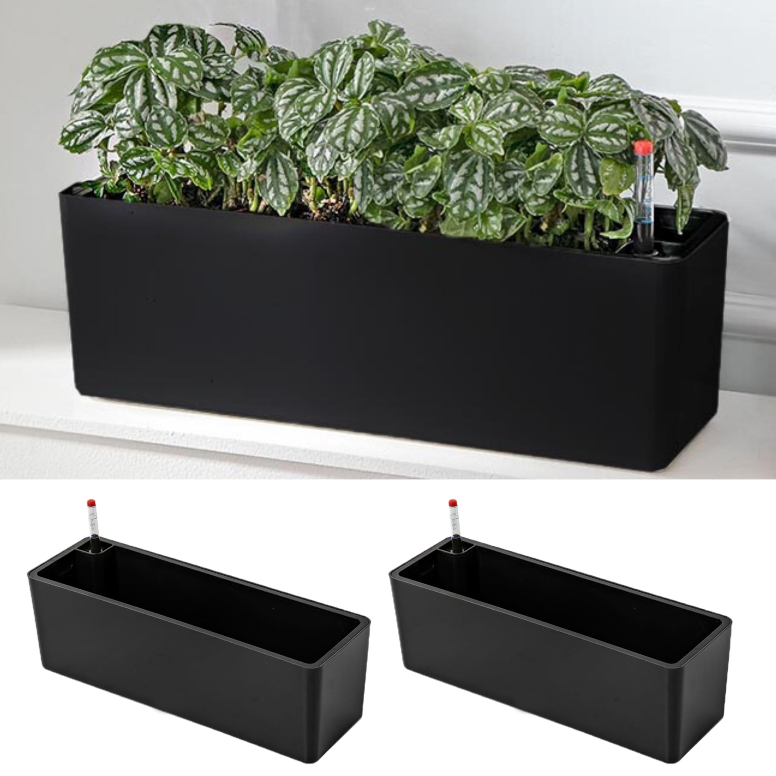 LáLáGreen front view showing sleek black planter and tidy windowsill display benefits
