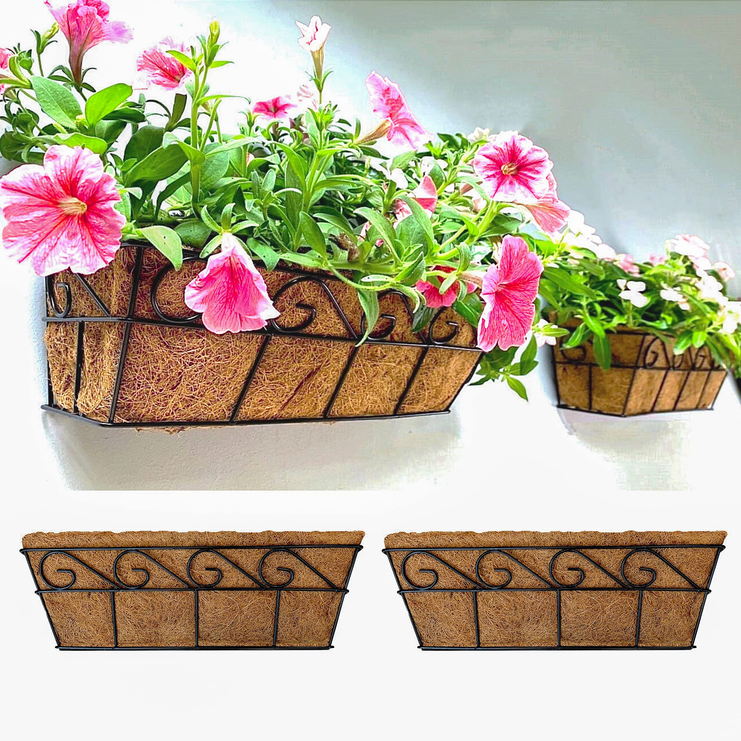 LáLáGreen front view planter showing clean profile and instant curb appeal