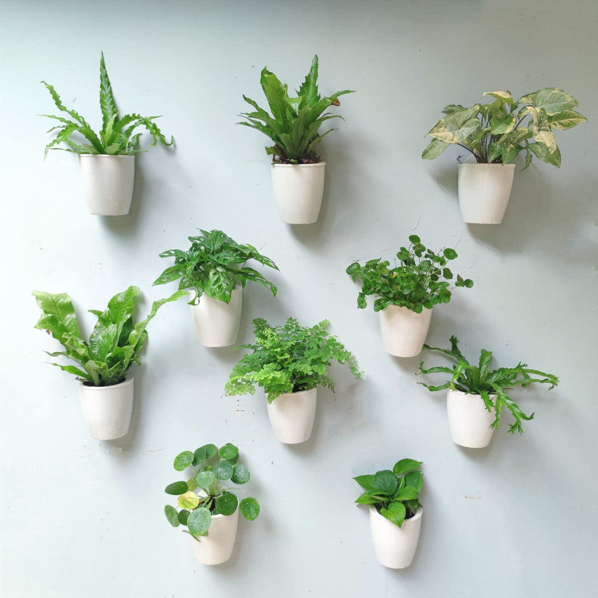 LáLáGreen front view white wall planter showcasing clean modern design and space-saving benefit