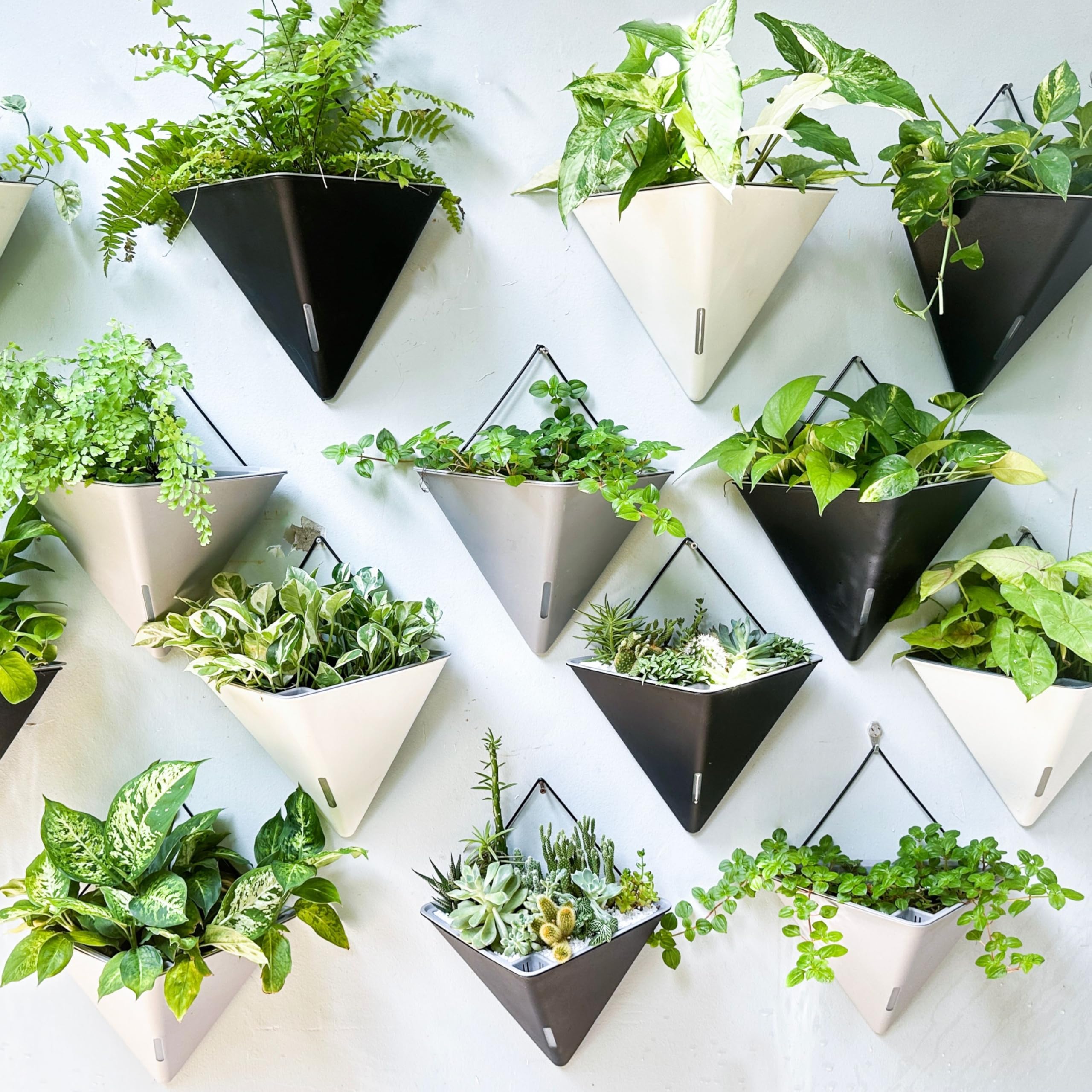 LáLáGreen grouped four pack creating a vertical living wall for design impact