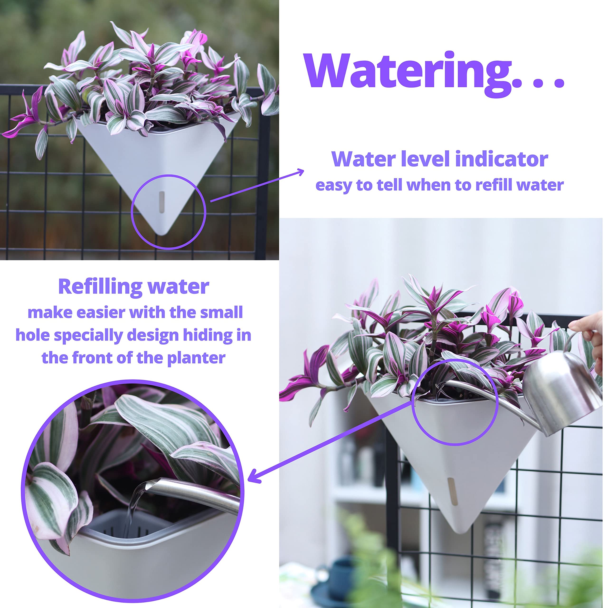 LáLáGreen hanging on shower screen demonstrating moisture-friendly plant placement