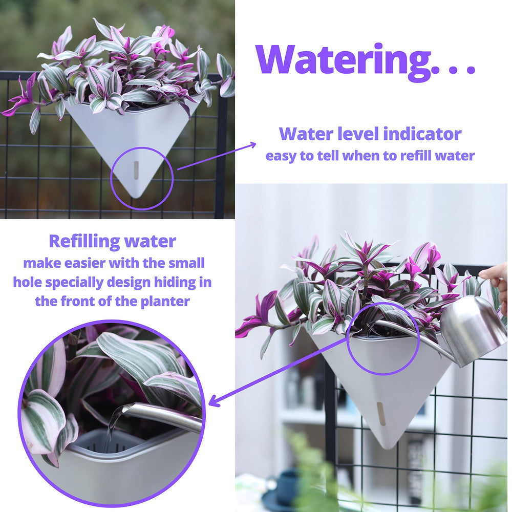 LáLáGreen hanging on shower screen demonstrating moisture-friendly plant placement